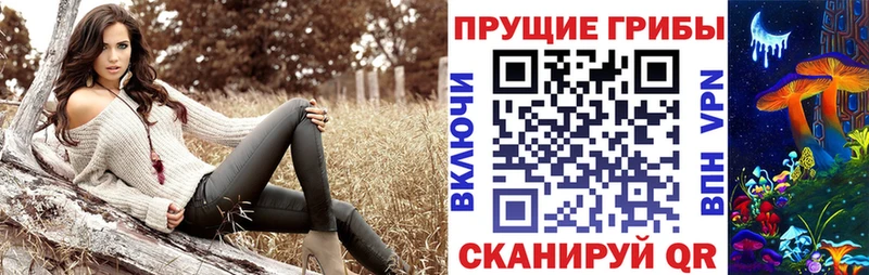 Псилоцибиновые грибы Psilocybe  Чухлома 